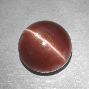 2.78カラットの天然ブラウンCat's Eye Scapolite（8.16 mm・ラウンドカット）