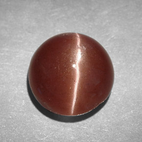 2.78カラットの天然ブラウンCat's Eye Scapolite（8.16 mm・ラウンドカット）