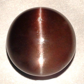 11.06カラットの天然ダークブラウンCat's Eye Scapolite（13.87 mm・ラウンドカット）
