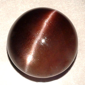 11.06カラットの天然ダークブラウンCat's Eye Scapolite（13.87 mm・ラウンドカット）