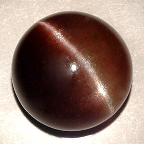 11.06カラットの天然ダークブラウンCat's Eye Scapolite（13.87 mm・ラウンドカット）