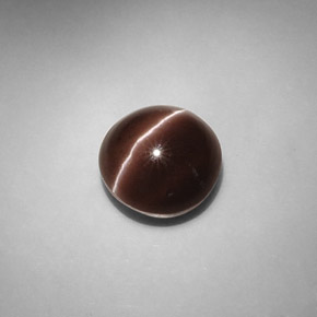 5.82カラットの天然ダークブラウンCat's Eye Scapolite（10.58 mm・ラウンドカット）
