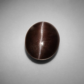 8.66カラットの天然ダークブラウンCat's Eye Scapolite（13.6×11.1 mm・オーバルカット）