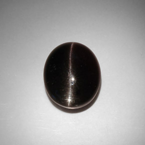 11.50カラットの天然ダークブラウンCat's Eye Scapolite（15×12.1 mm・オーバルカット）