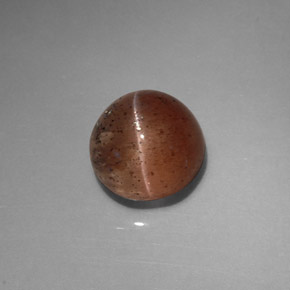 2.31カラットの天然ブラウンCat's Eye Scapolite（7.5×7.3 mm・透明）