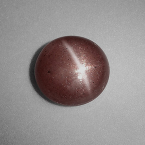 1.54カラットの天然ブラウンCat's Eye Scapolite（7.62 mm・ラウンドカット）