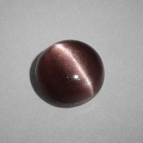 1.58カラットの天然ブラウンCat's Eye Scapolite（7.05 mm・ラウンドカット）
