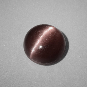 1.58カラットの天然ブラウンCat's Eye Scapolite（7.05 mm・ラウンドカット）