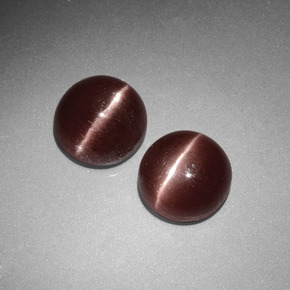 自然派の商品を探す ct ブラウン キャッツアイスキャポライト 宝石, ラウンドカット, マダガスカル からGemSelectで. 在庫あり、世界各国へ発送!