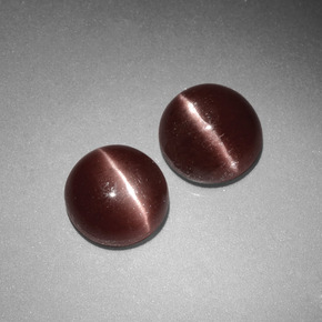 自然派の商品を探す ct ブラウン キャッツアイスキャポライト 宝石, ラウンドカット, マダガスカル からGemSelectで. 在庫あり、世界各国へ発送!