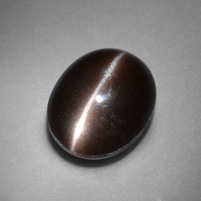 4.41カラットの天然ダークブラウンCat's Eye Scapolite（11.3×9.3 mm・オーバルカット）