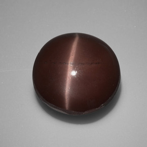 10.97カラットの天然ブラウンCat's Eye Scapolite（13.19 mm・ラウンドカット）