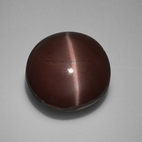 10.97カラットの天然ブラウンCat's Eye Scapolite（13.19 mm・ラウンドカット）
