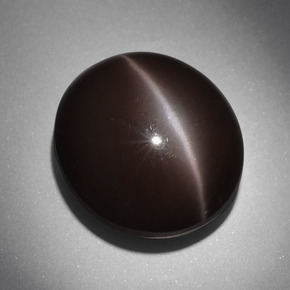 24.01カラットの天然ダークブラウンCat's Eye Scapolite（18×16.2 mm・オーバルカット）