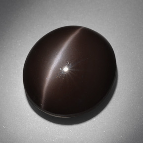 24.01カラットの天然ダークブラウンCat's Eye Scapolite（18×16.2 mm・オーバルカット）