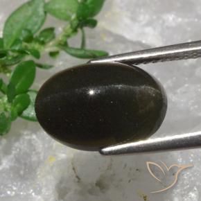 6.38カラットの天然黒がかった茶色キャッツアイスキャポライト、オーバルカット、半透明