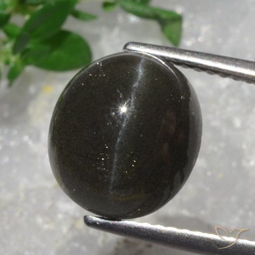 5.43ct 天然 ダークチョコレートブラウン キャッツアイスキャポライト, 楕円形, 半透明