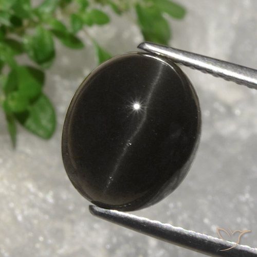 5.07ct 天然 ダークブラウン キャッツアイスキャポライト, 楕円形, 半透明