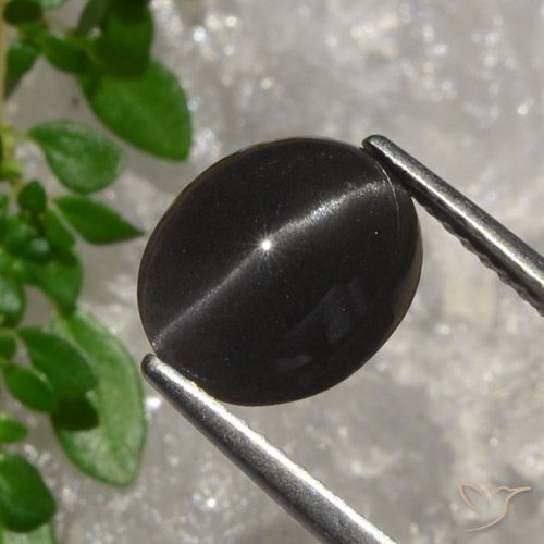 3.20ct 天然 ダークチョコレートブラウン キャッツアイスキャポライト, 楕円形, 半透明