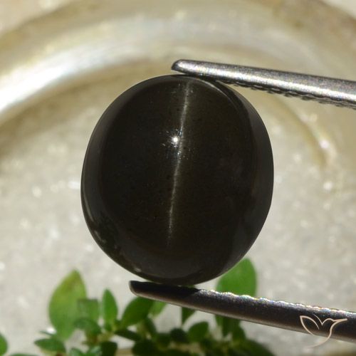 5.83ct 天然 ブラック キャッツアイスキャポライト, 楕円形, 半透明