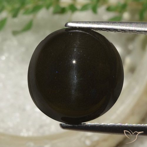 6.53ct 天然 ダークブラウン キャッツアイスキャポライト, ラウンド, 半透明