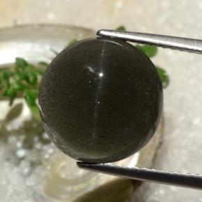 6.50カラットの天然ディープブラウンCat's Eye Scapolite（12.25 mm・ラウンドカット）