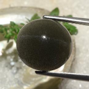 6.50カラットの天然ディープブラウンCat's Eye Scapolite（12.25 mm・ラウンドカット）