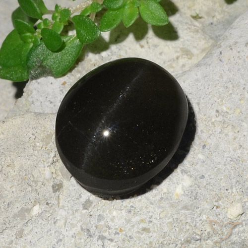 7.45ct 天然 ブラック キャッツアイスキャポライト, 楕円形, 半透明