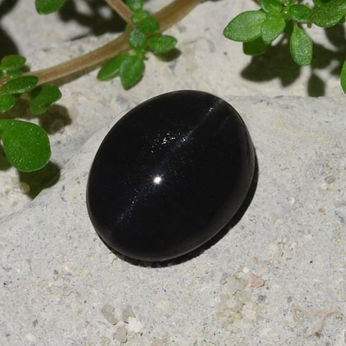 4.10ct 天然 ブラック キャッツアイスキャポライト, 楕円形, オペーク