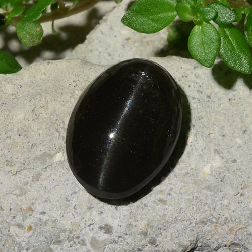 5.12ct 天然 ブラック キャッツアイスキャポライト, 楕円形, 半透明