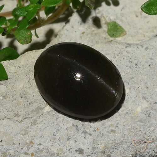 5.10カラットの天然黒Cat's Eye Scapolite（11.9×9.1 mm・オーバルカット）