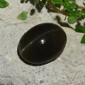5.10カラットの天然黒Cat's Eye Scapolite（11.9×9.1 mm・オーバルカット）