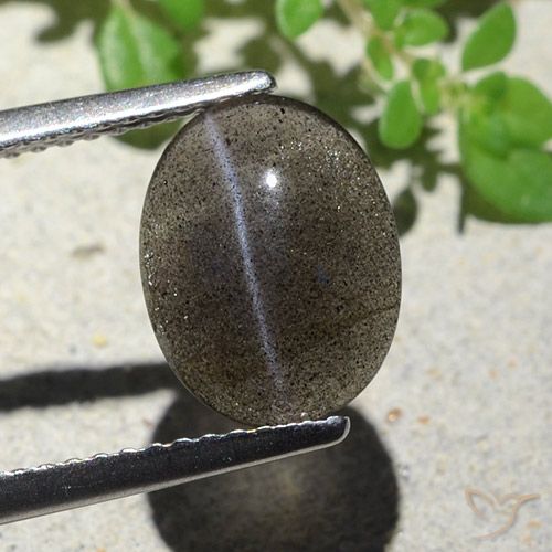 2.34ct 天然 ブラック キャッツアイスキャポライト, 楕円形, 半透明