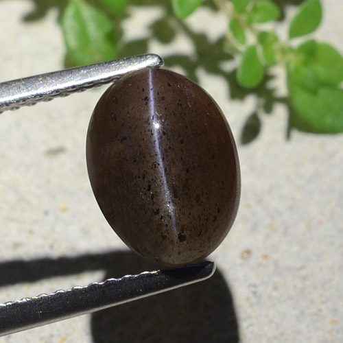 4.04カラットの天然ウォームブラックキャッツアイスキャポライト、オーバルカット、半透明