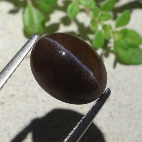 4.04カラットの天然ウォームブラックキャッツアイスキャポライト、オーバルカット、半透明