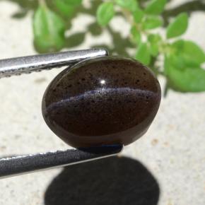 4.04カラットの天然ウォームブラックキャッツアイスキャポライト、オーバルカット、半透明