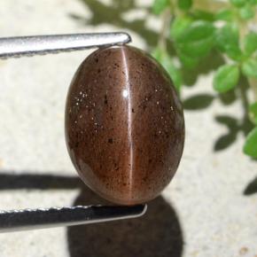 4.55カラットの天然ディープオレンジブラウンCat's Eye Scapolite（10.7×7.9 mm・オーバルカット）