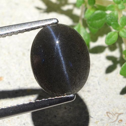 2.85ct 天然 ブラック キャッツアイスキャポライト, 楕円形, オペーク
