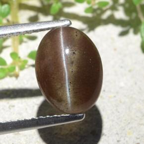 3.84カラットの天然ウォームブラウンCat's Eye Scapolite（10.6×8 mm・オーバルカット）
