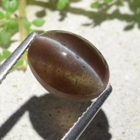 3.84カラットの天然ウォームブラウンCat's Eye Scapolite（10.6×8 mm・オーバルカット）