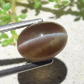3.84カラットの天然ウォームブラウンCat's Eye Scapolite（10.6×8 mm・オーバルカット）