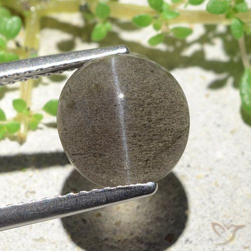 3.94カラットの天然ミディアム薄いブラウンCat's Eye Scapolite（9.6×9.2 mm・オーバルカット）