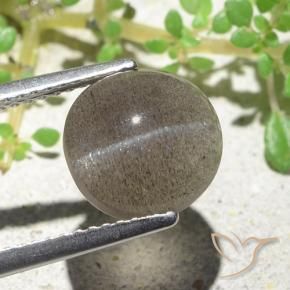 3.94カラットの天然ミディアム薄いブラウンCat's Eye Scapolite（9.6×9.2 mm・オーバルカット）