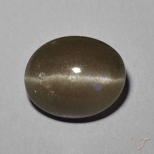5.81ct 天然 ミディアムブラウン キャッツアイスキャポライト, 楕円形, 半透明