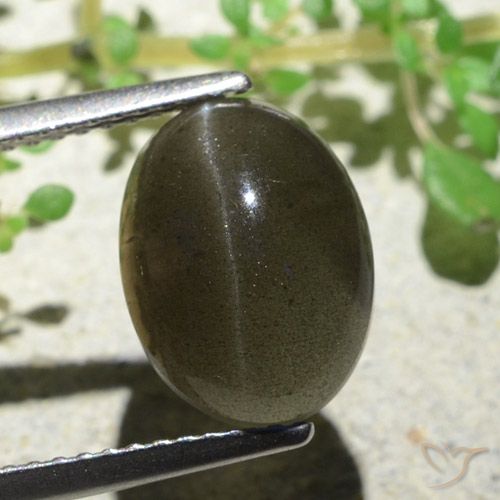 4.70ct 天然 ミディアム薄いブラウン キャッツアイスキャポライト, 楕円形, 半透明