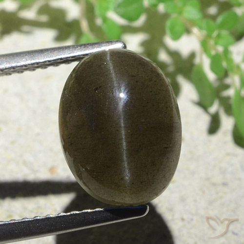4.97ct 天然 ミディアム薄いブラウン キャッツアイスキャポライト, 楕円形, 半透明