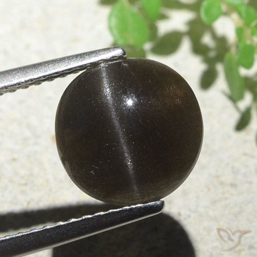 3.87ct 天然 ダークブラウン キャッツアイスキャポライト, ラウンド, 半透明