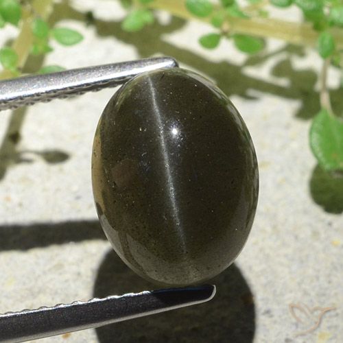 4.66カラットの天然緑がかった茶Cat's Eye Scapolite（11.1×8.3 mm・オーバルカット）