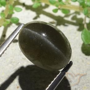 4.66カラットの天然緑がかった茶Cat's Eye Scapolite（11.1×8.3 mm・オーバルカット）