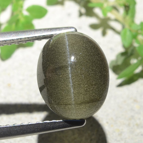 4.00カラットの天然緑がかった茶Cat's Eye Scapolite（10×8 mm・オーバルカット）